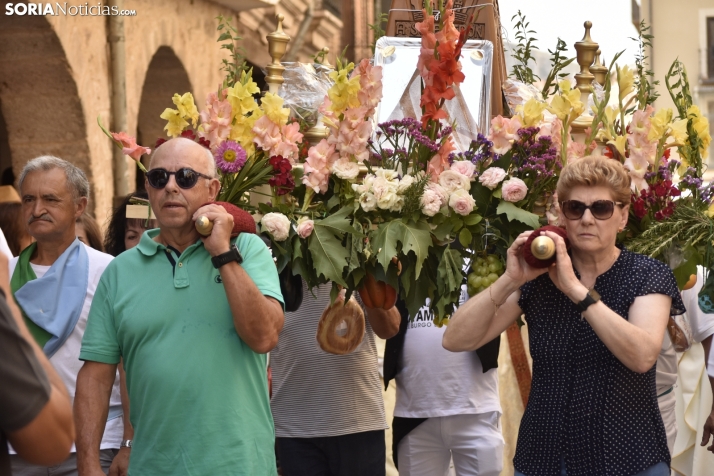 Procesión de San Roque en El Burgo de Osma. 