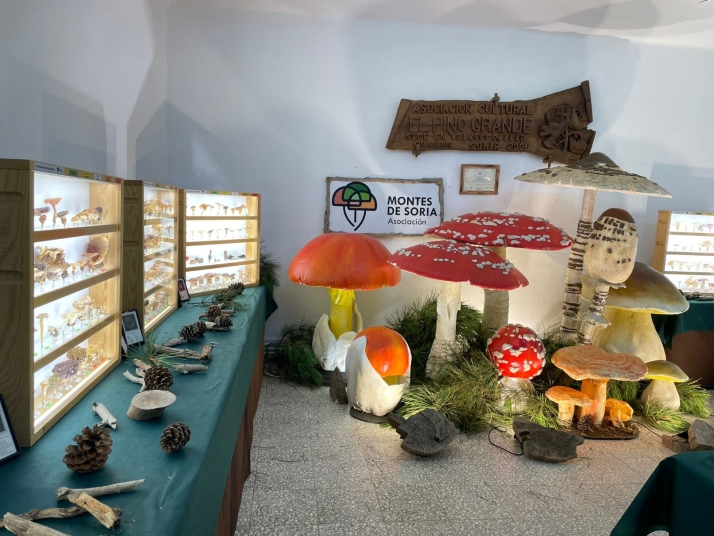 El Mycological Summer Tour encara su recta final con paradas en cuatro pueblos sorianos