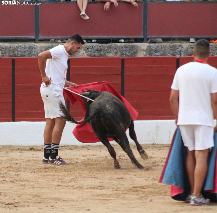 Una imagen en la plaza de toros burgense. /Santos Gómez