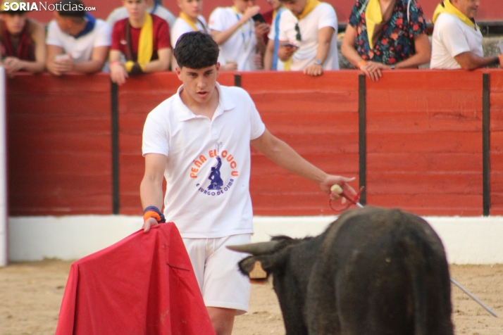 Una imagen en la plaza de toros burgense. /Santos Gómez