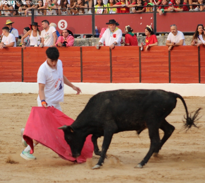 Una imagen en la plaza de toros burgense. /Santos Gómez