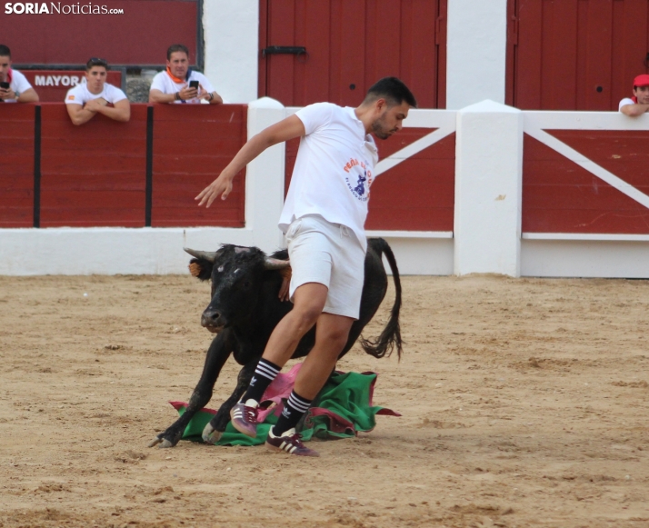 Una imagen en la plaza de toros burgense. /Santos Gómez