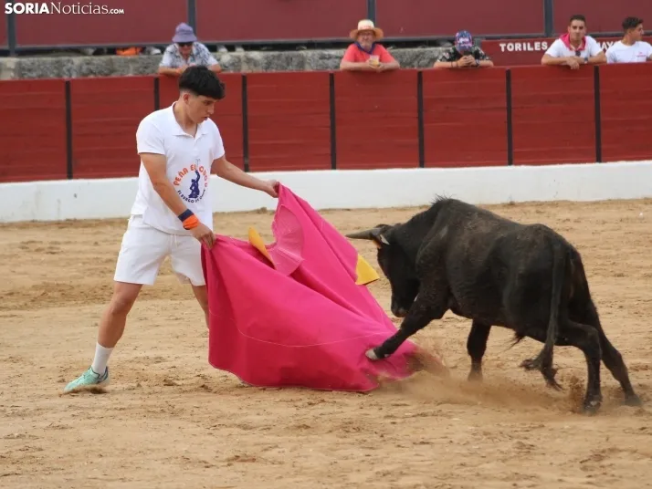 Una imagen en la plaza de toros burgense. /Santos Gómez