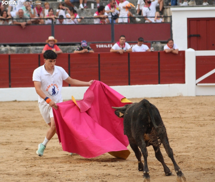 Una imagen en la plaza de toros burgense. /Santos Gómez