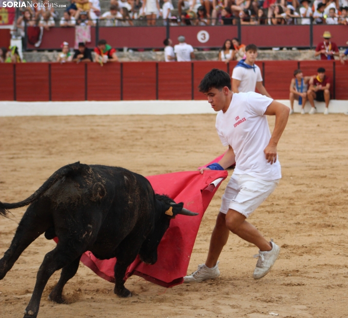 Una imagen en la plaza de toros burgense. /Santos Gómez
