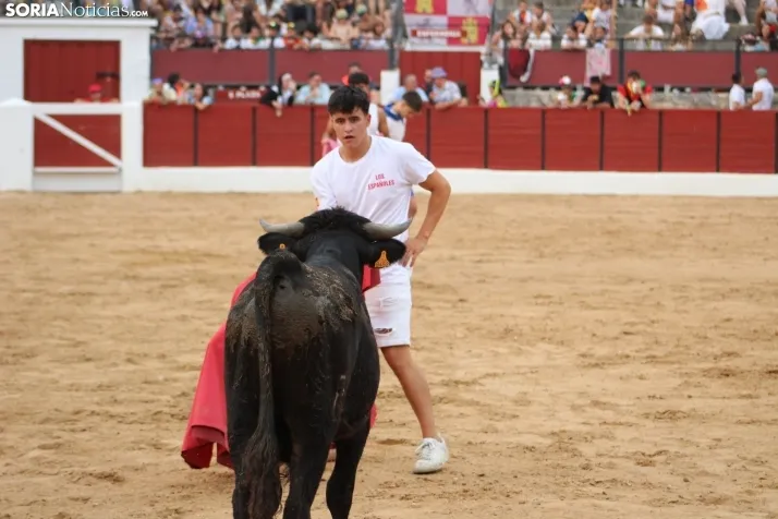 Una imagen en la plaza de toros burgense. /Santos Gómez