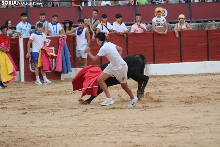 Una imagen en la plaza de toros burgense. /Santos Gómez