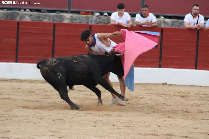 Una imagen en la plaza de toros burgense. /Santos Gómez