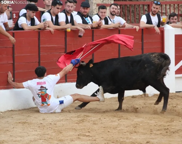 Una imagen en la plaza de toros burgense. /Santos Gómez