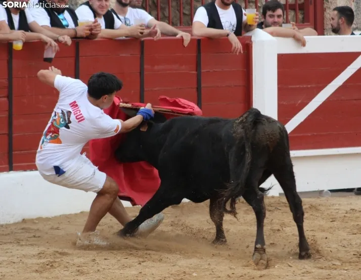 Una imagen en la plaza de toros burgense. /Santos Gómez