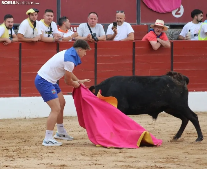Una imagen en la plaza de toros burgense. /Santos Gómez