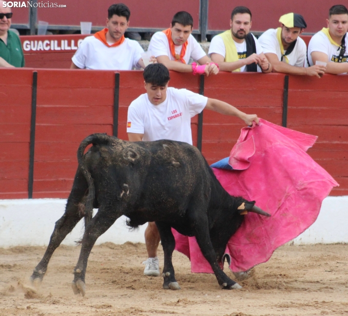 Una imagen en la plaza de toros burgense. /Santos Gómez
