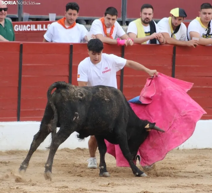 Una imagen en la plaza de toros burgense. /Santos Gómez