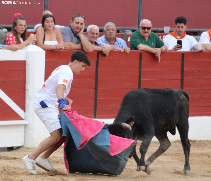 Una imagen en la plaza de toros burgense. /Santos Gómez