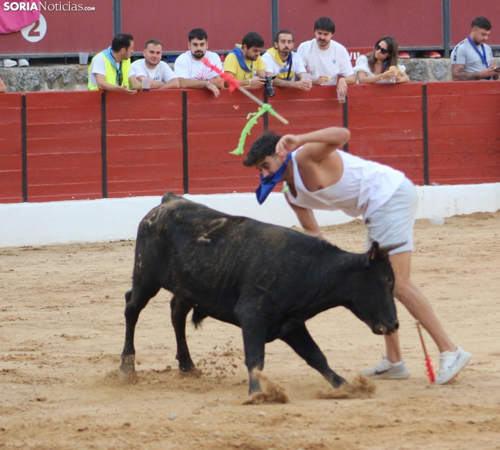 Una imagen en la plaza de toros burgense. /Santos Gómez