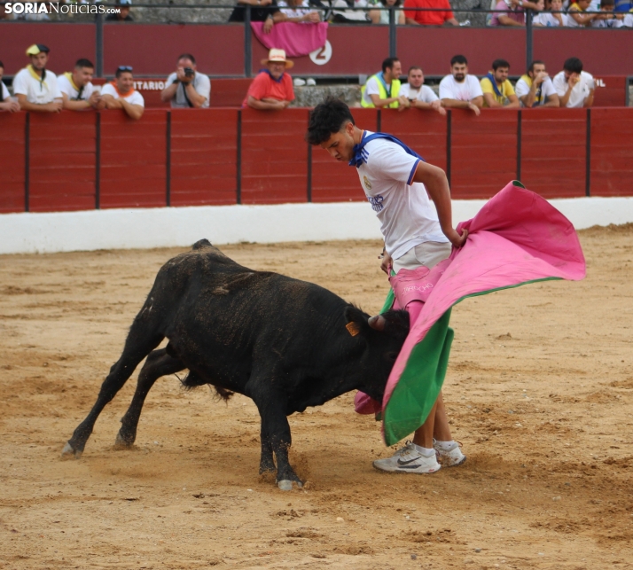 Una imagen en la plaza de toros burgense. /Santos Gómez