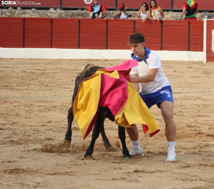 Una imagen en la plaza de toros burgense. /Santos Gómez