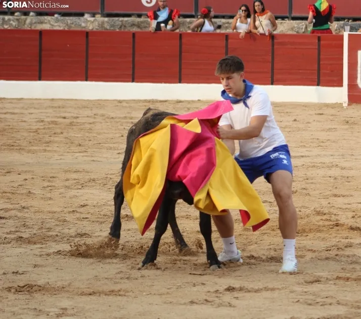 Una imagen en la plaza de toros burgense. /Santos Gómez