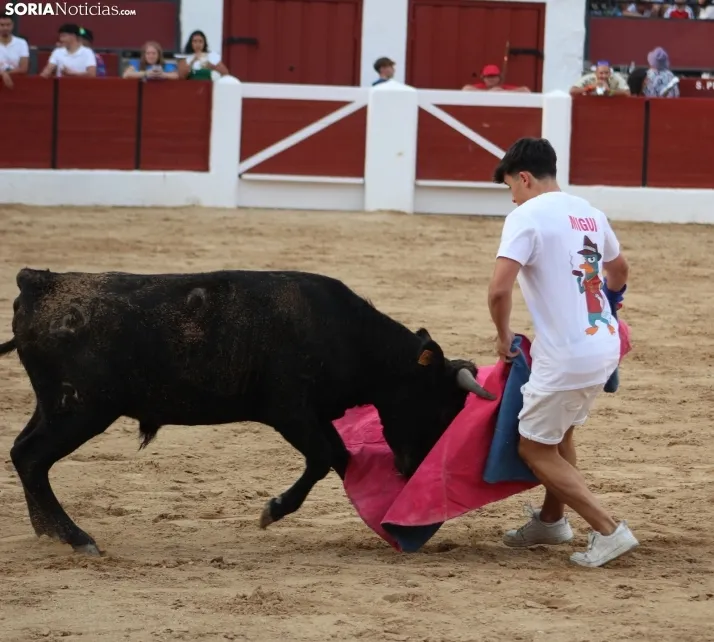 Una imagen en la plaza de toros burgense. /Santos Gómez