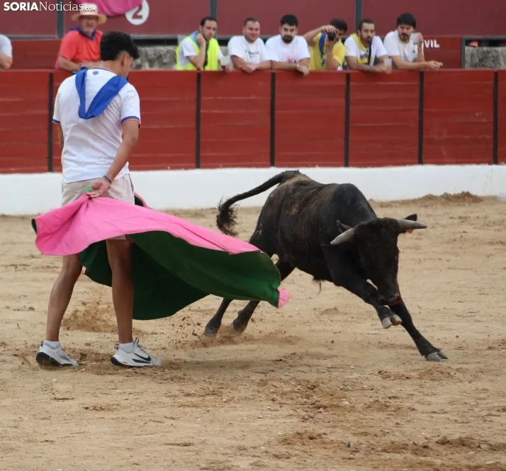 Una imagen en la plaza de toros burgense. /Santos Gómez