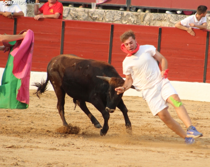 Una imagen en la plaza de toros burgense. /Santos Gómez