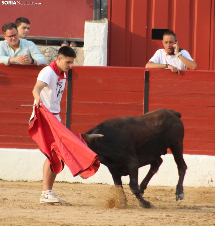 Una imagen en la plaza de toros burgense. /Santos Gómez