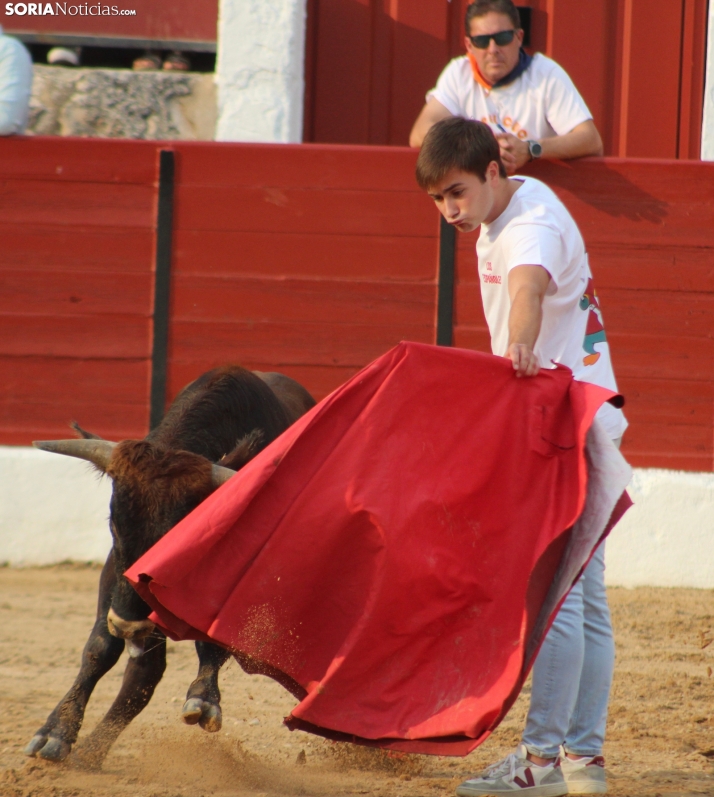 Una imagen en la plaza de toros burgense. /Santos Gómez