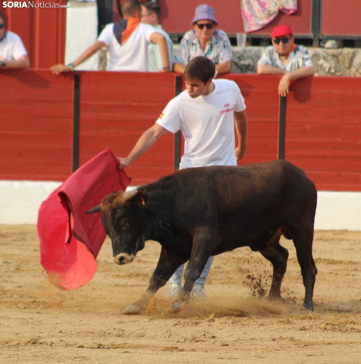 Una imagen en la plaza de toros burgense. /Santos Gómez