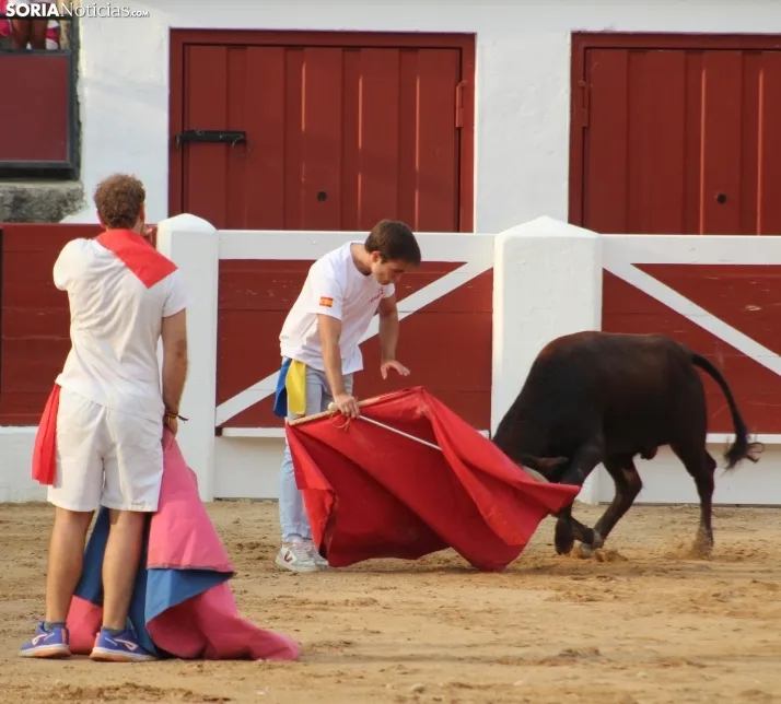 Una imagen en la plaza de toros burgense. /Santos Gómez