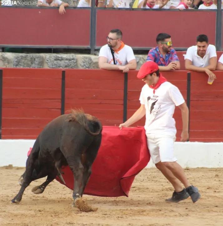 Una imagen en la plaza de toros burgense. /Santos Gómez