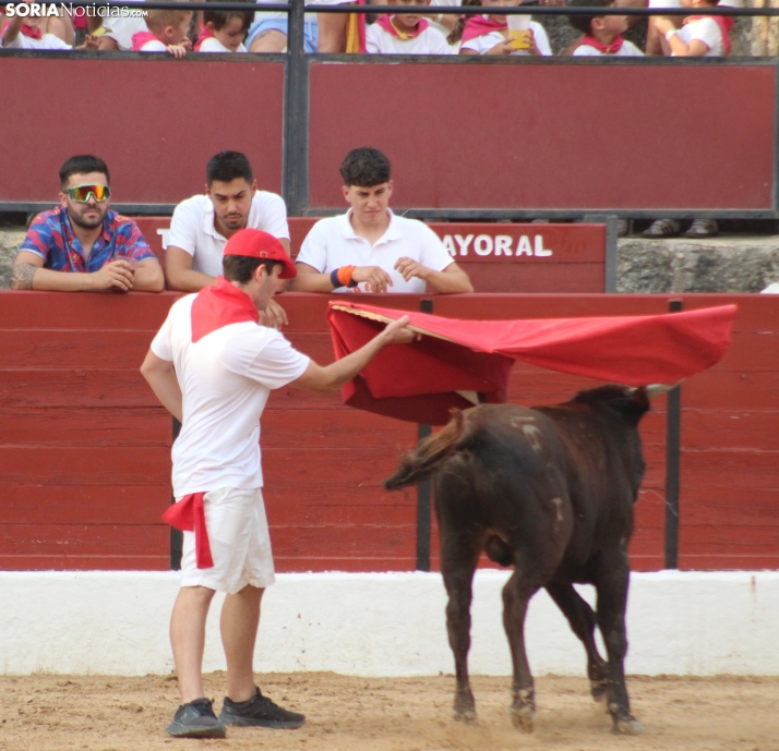 Una imagen en la plaza de toros burgense. /Santos Gómez