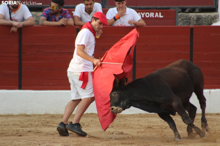 Una imagen en la plaza de toros burgense. /Santos Gómez