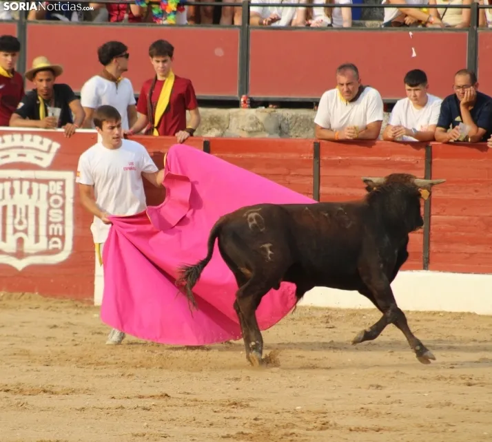 Una imagen en la plaza de toros burgense. /Santos Gómez