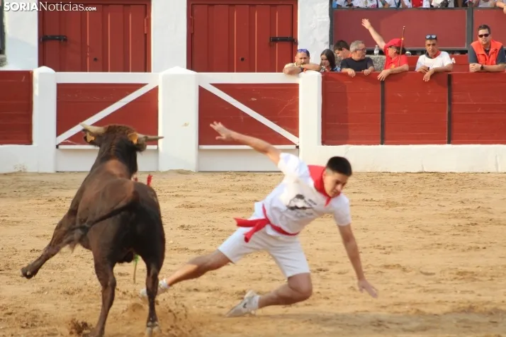 Una imagen en la plaza de toros burgense. /Santos Gómez