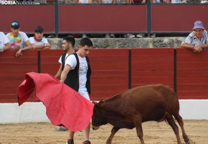 Una imagen en la plaza de toros burgense. /Santos Gómez