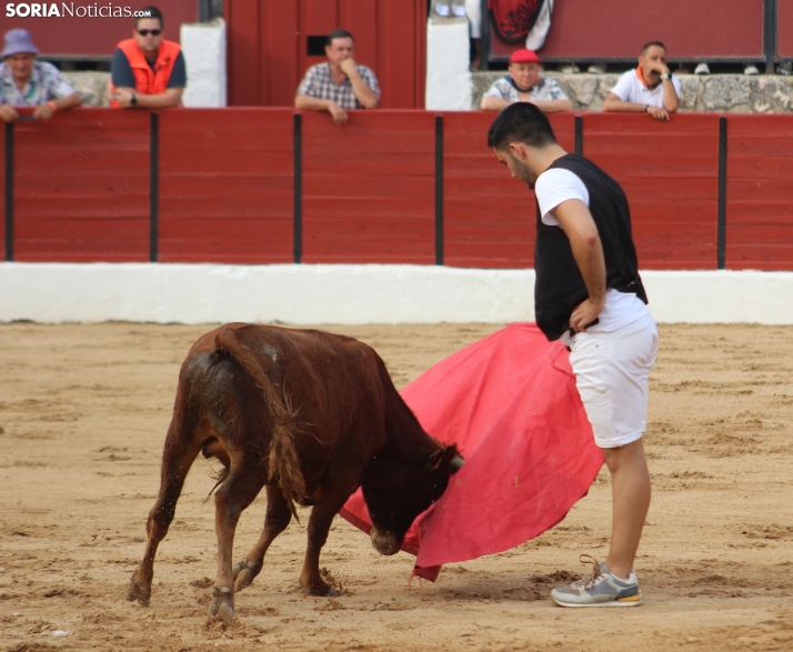 Una imagen en la plaza de toros burgense. /Santos Gómez