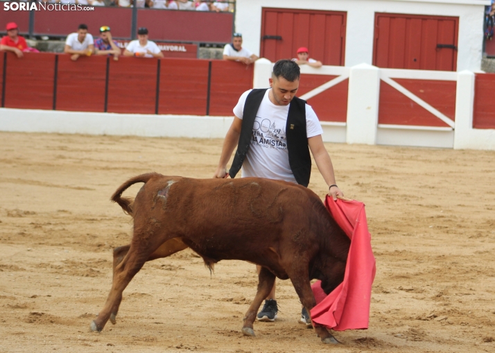 Una imagen en la plaza de toros burgense. /Santos Gómez