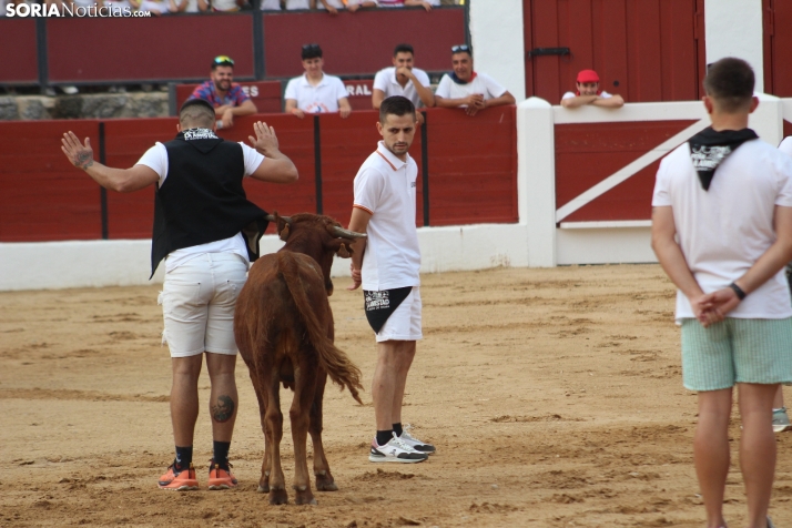 Una imagen en la plaza de toros burgense. /Santos Gómez