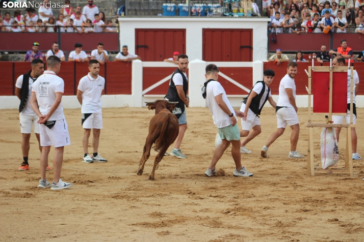Una imagen en la plaza de toros burgense. /Santos Gómez