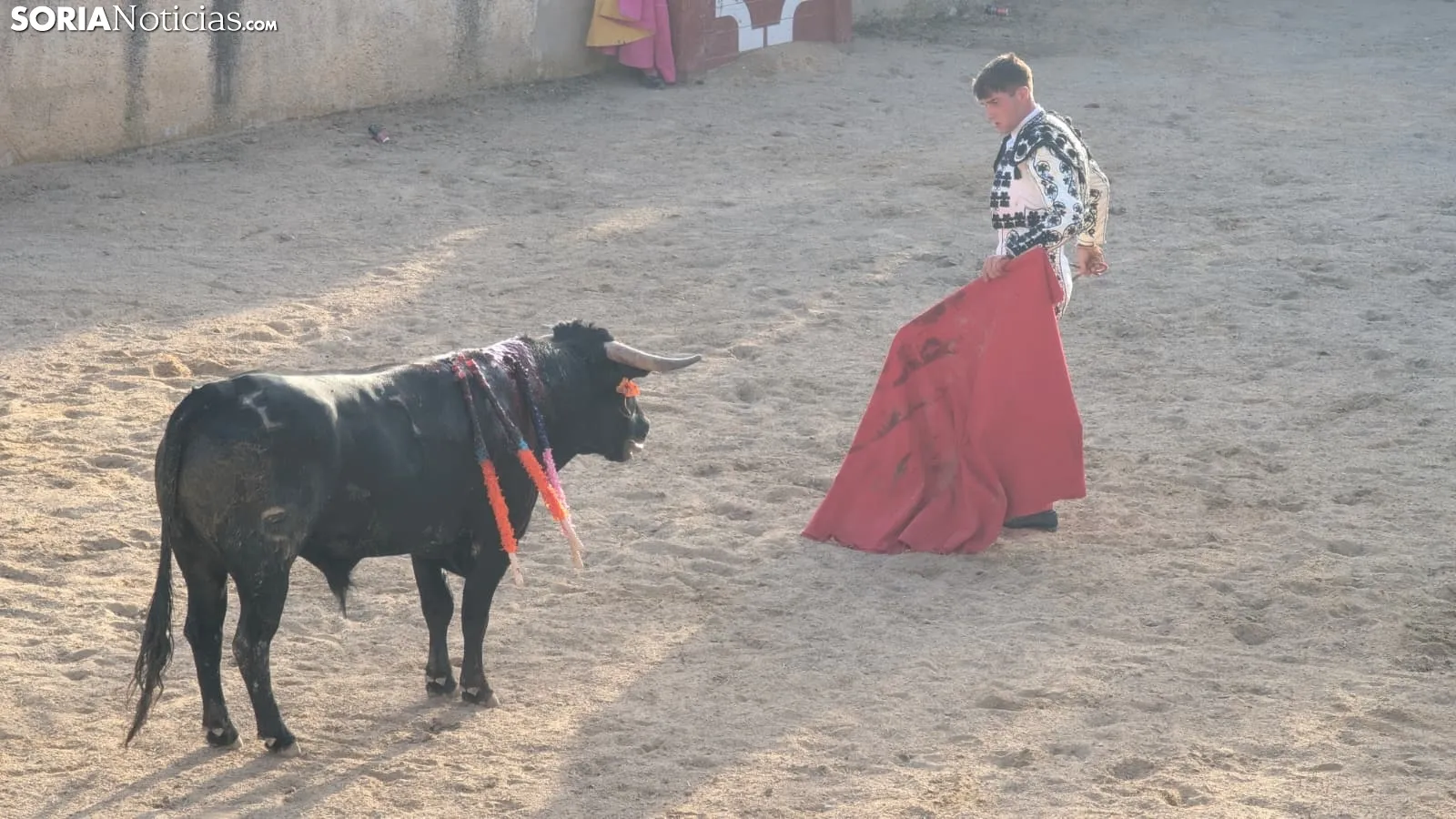 Novillada sin picadores en Deza. 