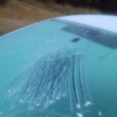 Foto 3 - Espejo de Tera registra la primera helada de la temporada con -0,4&ordm;C