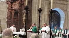Una imagen de la eucaristía que servía de despedida del obispo en la capital soriana este sábado en la concatedral. /SN