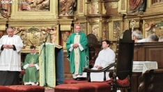 Una imagen de la eucaristía que servía de despedida del obispo en la capital soriana este sábado en la concatedral. /SN