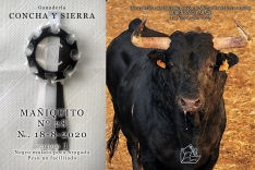 Foto 3 - V&iacute;deo: Estos son los astados con los que Rub&eacute;n Sanz se confirmar&aacute; en Las Ventas