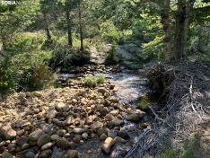 Foto 4 - Ruta: La ermita y el chorrón de El Royo