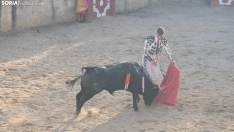 Novillada sin picadores en Deza. 