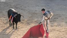 Novillada sin picadores en Deza. 