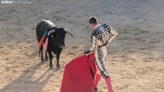 Novillada sin picadores en Deza. 