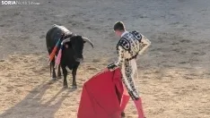 Novillada sin picadores en Deza. 