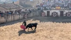 Novillada sin picadores en Deza. 